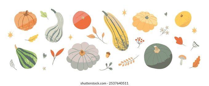 Set of Seasonal Pumpkins and Foliage isolated on white background. Collection of colorful vector squashes and gourds for Thanksgiving. Autumn Harvest time illustration