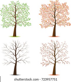 Set of seasonal trees on white background. Vector