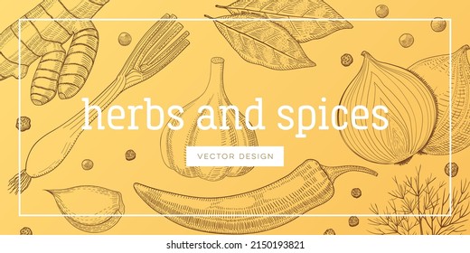 Set of seasoning and culinary plant, hand drawn sketch vector illustration, vintage engraving condiment collection, template for book cover or wallpaper.
