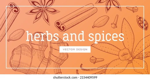 Set of seasoning and culinary plant, hand drawn sketch vector illustration, vintage engraving condiment collection, template for book cover or wallpaper.