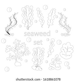 A set of seaweed. Coloring book - vector illustration, eps