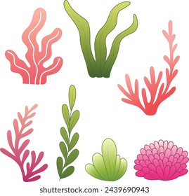 Conjunto de algas, ilustración de coral