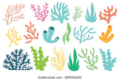 Set of seaweed and coral vector eps 10