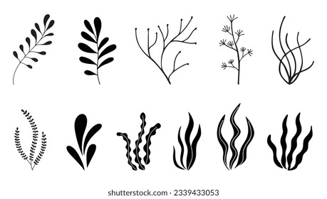 Set of seaweed icons. Marine plants are isolated on white background. Vector illustration