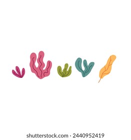 Set of seaweed isolated on a white background. Vector illustration.