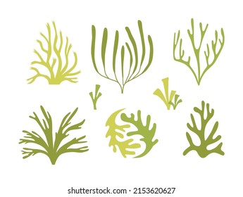 A set of seaweed marine plants and corals