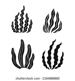 Set of seaweed. Marine plants are isolated. Hand drawn illustration converted to vector.