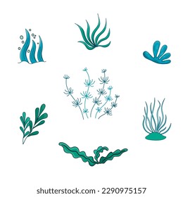 Set seaweed plant vector Illustration with air bubble. Cartoon Isolated on white. Sea life nature. Elements for icon, cover, print, book illustration, poster, card, web element, card for children.