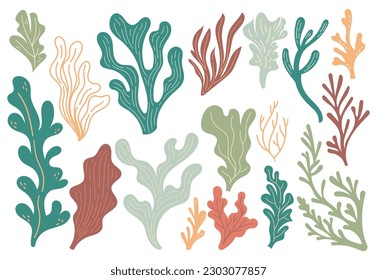 Set of Seaweed Shape Aesthetic Design Element