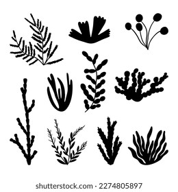 Set seaweed silhouette. Marine plant elements. Isolated vector illustration on white background.