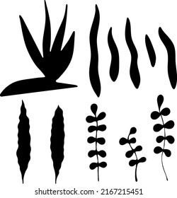 Set Of Seaweed Silhouette. Seaweed Vector By Hand Drawing. Seaweed Silhouette Collection.