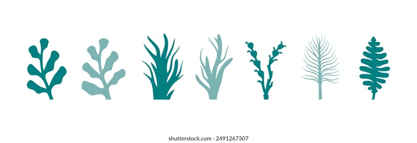 A set of seaweed silhouettes in turquoise and teal colors, depicting various shapes and forms of underwater plants.