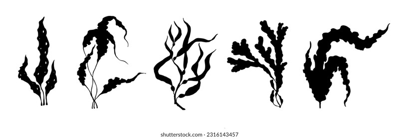Set of seaweed silhouettes. Vector graphics.