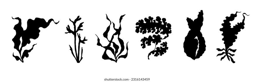 Set of seaweed silhouettes. Vector graphics.