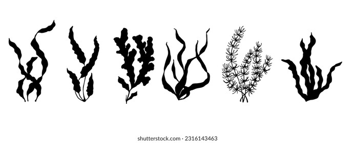 Set of seaweed silhouettes. Vector graphics.