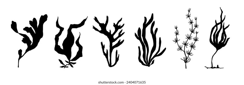Set of seaweed silhouettes. Vector graphics.