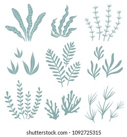 Set of seaweed. Vector illustration.