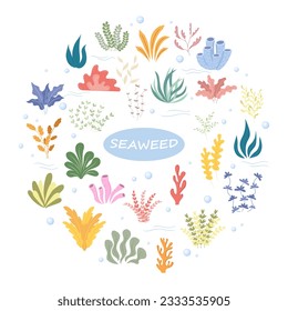 A set of seaweed. Vector illustration.