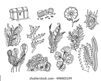 Set of seaweed. Vector image in black and white. chest