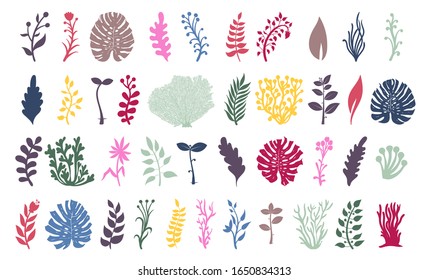 Set of seaweeds and coral reef underwater plans. Aquarium, ocean and marine algae water plants, colored corals isolated on white. Seaweeds polyps silhouettes. Vector laminaria kelp and other.