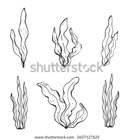 Set of seaweeds, hand drawn vector elements