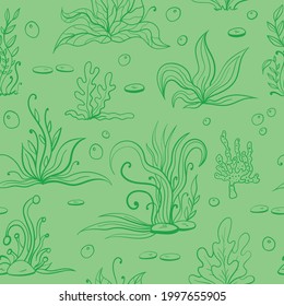 Set of seaweeds and marine plants. Seamless pattern of algae, leaves, coral. Vintage style drawn marine flora. Green background vector illustration.Design for summer beach, decorations.