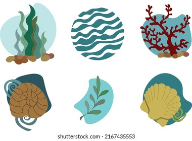 Set of seaweeds, sea vegetables. Vector flat illustration, isolated on white. Sea plants, ocean algae and aquarium kelp.