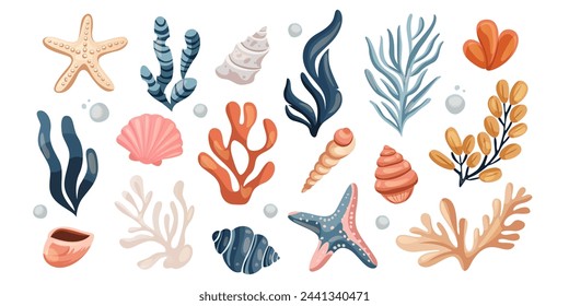 Set of seaweeds, starfish, wracks, racy, oyster shell, mollusk, laminaria, coral reef underwater plants. Aquarium, ocean undersea algae water life. Summer vacation, tropical beach shells marine flora