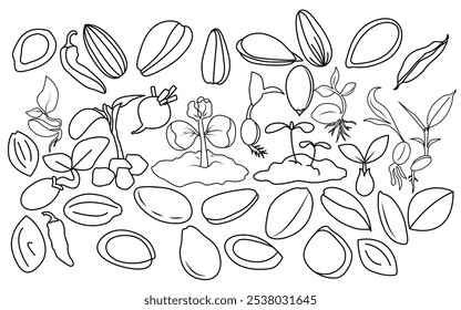 Set of Seed and Grain sprouting icon Illustration. Agriculture grain, sprout, plant, seeds germination symbols.