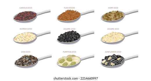 Set Of Seed In Metal Spoon. Flax Seed, Sesame, Chia, Pumpkin Seeds, Canola, Sunflower, Quinoa, Hemp Seed. Vector Simple Illustration Isolated On White. Icon In Flat Style.