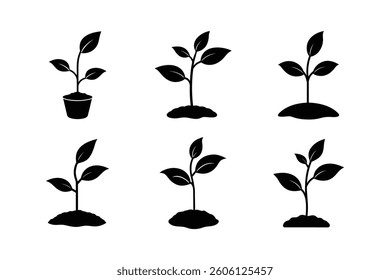 Set of Seedling Vector Silhouette ,Vector set of tree icons representing nature and growth