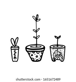 Set seedlings in pots in hand drawn doodle style isolated on white background. Vector outline stock illustration. Sign gardening element. Coloring book. Horticulture.