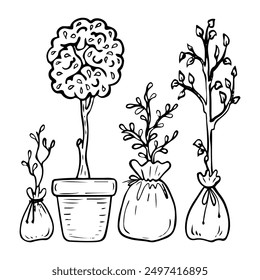 Set of seedlings of trees and shrubs hand drawn in doodle style. Plants ready for planting in the ground. Garden decor. Backyard landscape. Vector line art illustration.