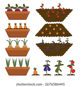 Conjunto de plántulas, camas de verduras en estilo de dibujos animados. Ilustración vectorial de cultivar diferentes verduras: remolachas, zanahorias, nabos, cebollas, berenjenas, calabacines, tomates aislados sobre fondo blanco.