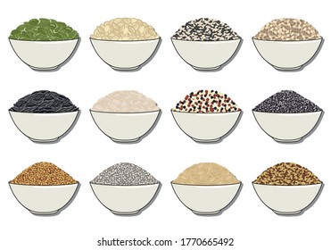 Set of seeds in bowl. Pumpkin and sunflower seeds, chia, poppy, flax, quinoa, mustard, hemp, pine nuts. Organic healthy food. Vegan and vegetarian poster. Hand drawn vector illustration