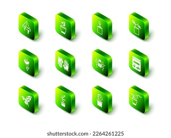 Set Seeds in bowl, Sprout bottle, Plant pot, Pack full of seeds of plant, Spraying, Beetle bug, Cactus peyote and Exotic tropical icon. Vector