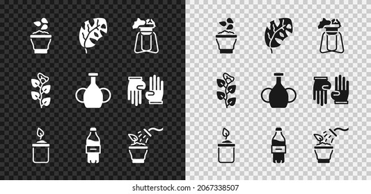 Set Seeds in bowl, Tropical leaves, Plant on stand, Sprout bottle, Bottle of water, Spraying plant, Ivy branch and Vase icon. Vector