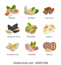 Set of seeds and nuts vector. Flat design. Collection of traditional snacks