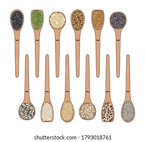 Set of seeds in spoon. Pumpkin and sunflower seeds, chia, poppy, flax, quinoa, mustard, hemp, pine nuts. Organic healthy food. Vegan and vegetarian poster. Hand drawn vector illustration