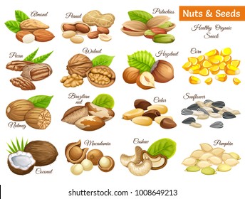 Set seeds sunflower, pumpkin, and corn. Nuts cashew, brazilian nut, coconut, cedar, hazelnut, cashew, almonds, walnut, nutmeg, pecan, peanut, macadamia, pistachio.