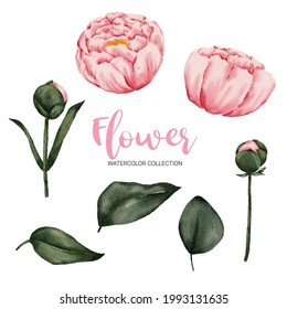 Set of Separate parts and bring together to beautiful bouquet of flowers in water colors style on white background, flat vector illustration