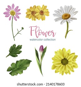 Set of Separate parts and bring together to beautiful bouquet of flowers in water colors style on white background, flat vector illustration