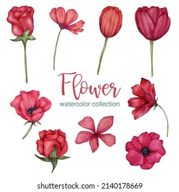 Set of Separate parts and bring together to beautiful bouquet of flowers in water colors style on white background, flat vector illustration