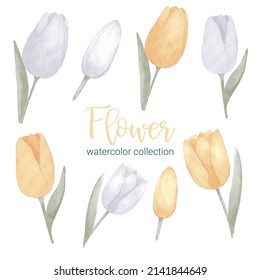 Set of Separate parts and bring together to beautiful bouquet of flowers in water colors style on white background, flat vector illustration