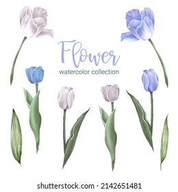 Set of Separate parts and bring together to beautiful bouquet of flowers in water colors style on white background, flat vector illustration