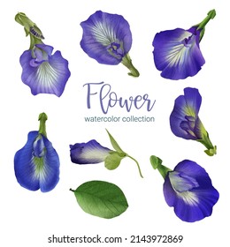 Set of Separate parts and bring together to beautiful bouquet of flowers in water colors style on white background, flat vector illustration