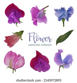 Set of Separate parts and bring together to beautiful bouquet of flowers in water colors style on white background, flat vector illustration