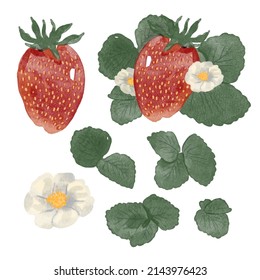 Set of Separate parts and bring together to beautiful bouquet of flowers in water colors style on white background, flat vector illustration