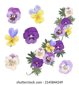 Set of Separate parts and bring together to beautiful bouquet of flowers in water colors style on white background, flat vector illustration