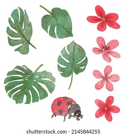 Set of Separate parts and bring together to beautiful bouquet of flowers in water colors style on white background, flat vector illustration
